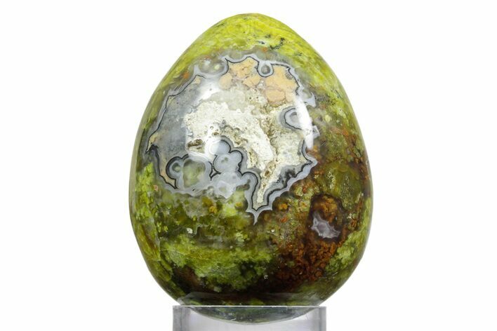 Polished Green Opal Egg - Madagascar #356167